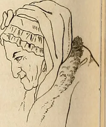 An illustration from L'art de connaitre les hommes par la physionomie, 1806, leaf 201