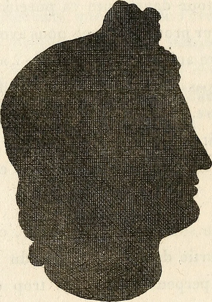 An illustration from L'art de connaitre les hommes par la physionomie, 1806, leaf 233
