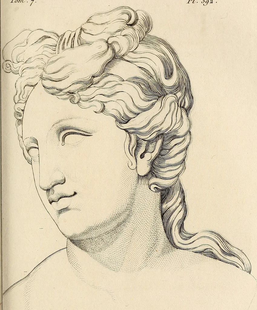 An illustration from L'art de connaitre les hommes par la physionomie, 1806, leaf 248