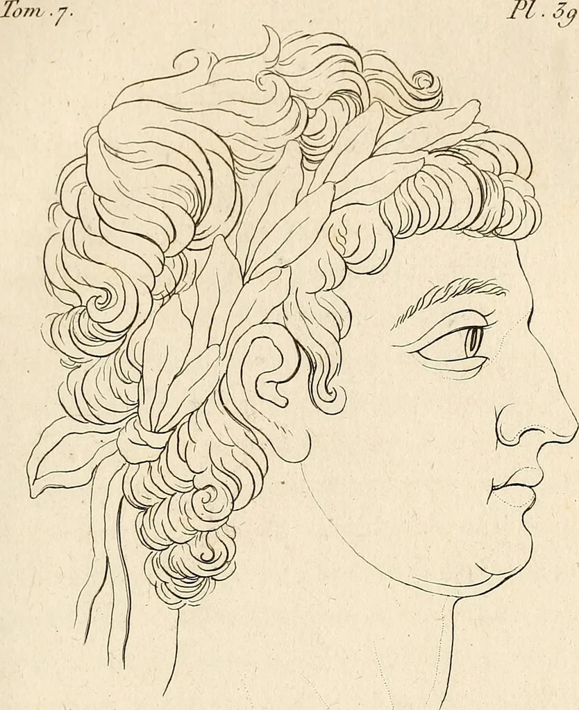 An illustration from L'art de connaitre les hommes par la physionomie, 1806, leaf 254