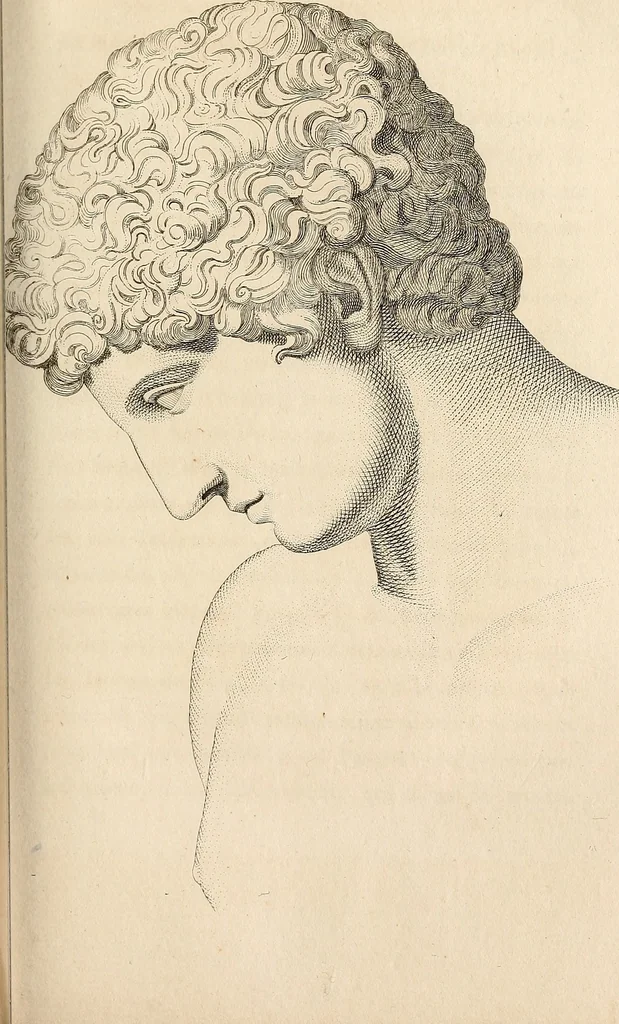 An illustration from L'art de connaitre les hommes par la physionomie, 1806, leaf 260