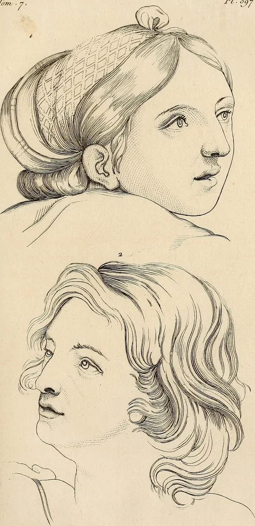 An illustration from L'art de connaitre les hommes par la physionomie, 1806, leaf 266