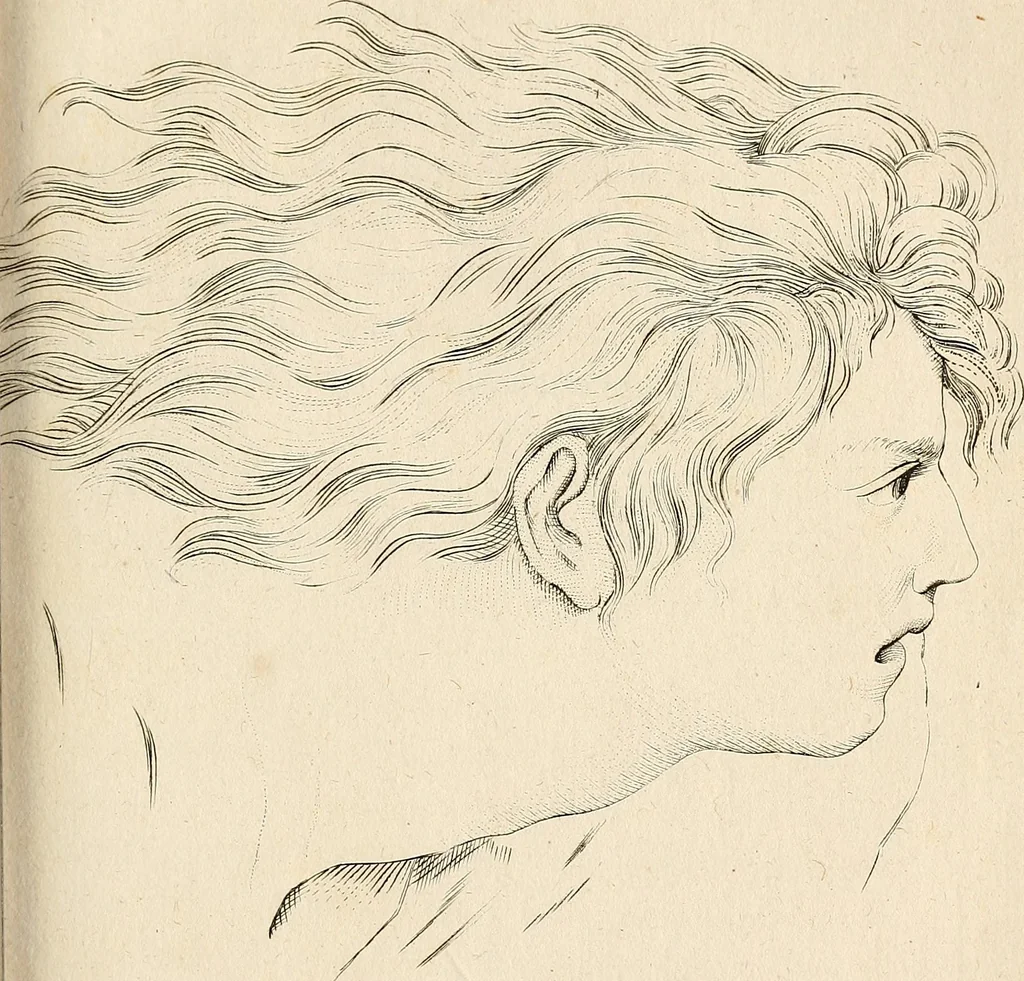 An illustration from L'art de connaitre les hommes par la physionomie, 1806, leaf 276