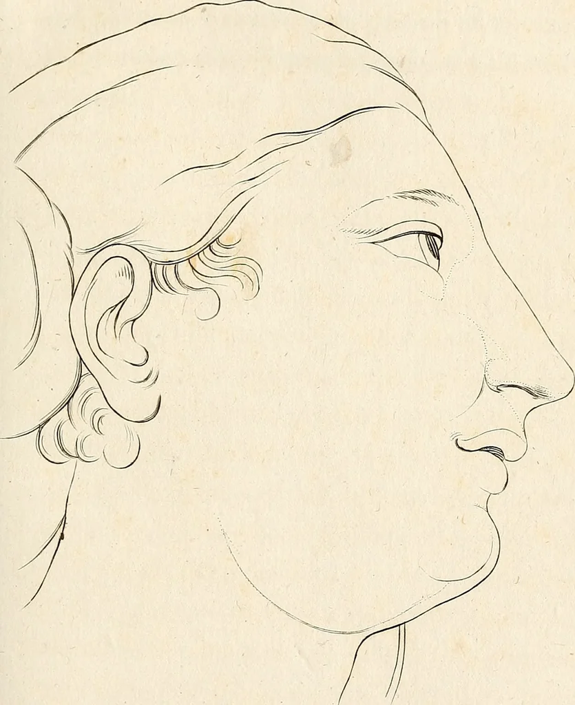 An illustration from L'art de connaitre les hommes par la physionomie, 1806, leaf 280