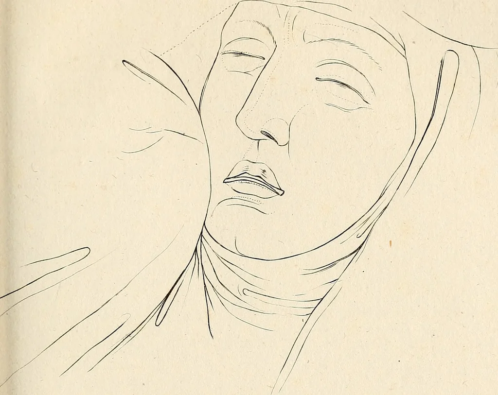 An illustration from L'art de connaitre les hommes par la physionomie, 1806, leaf 284