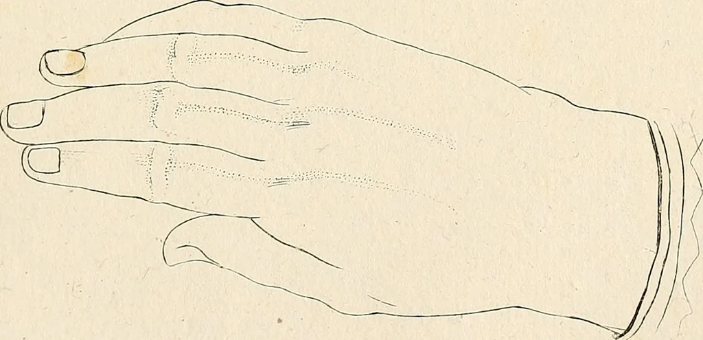 An illustration from L'art de connaitre les hommes par la physionomie, 1806, leaf 284