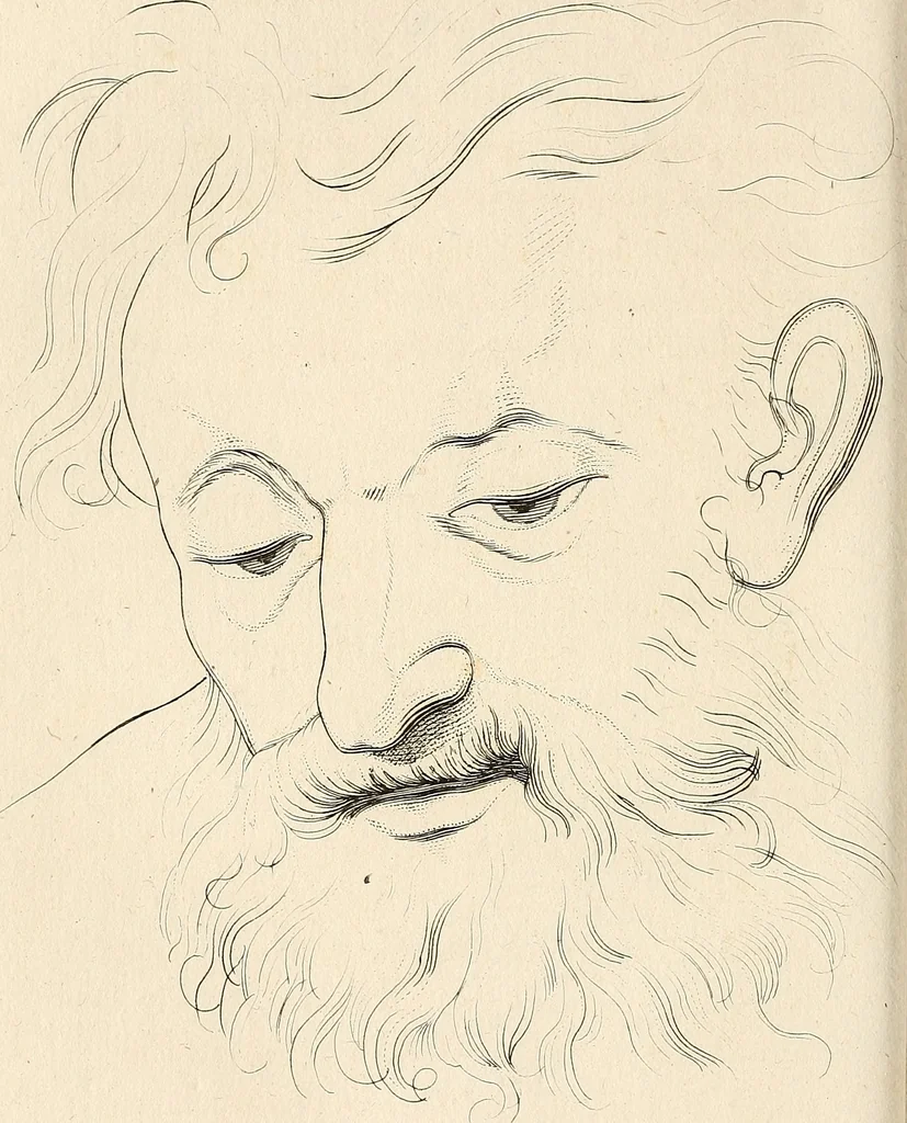 An illustration from L'art de connaitre les hommes par la physionomie, 1806, leaf 287
