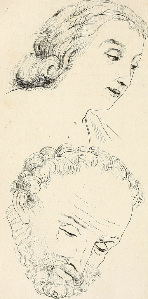 An illustration from L'art de connaitre les hommes par la physionomie, 1806, leaf 291
