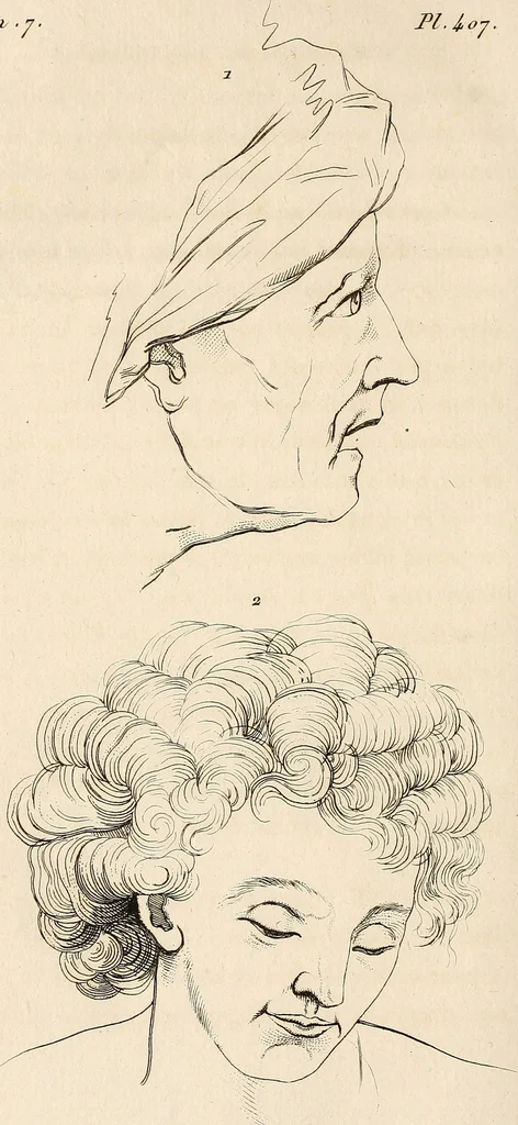 An illustration from L'art de connaitre les hommes par la physionomie, 1806, leaf 299