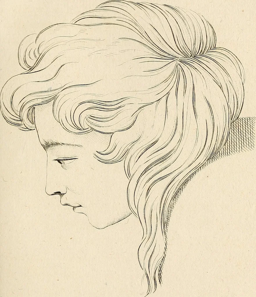 An illustration from L'art de connaitre les hommes par la physionomie, 1806, leaf 312