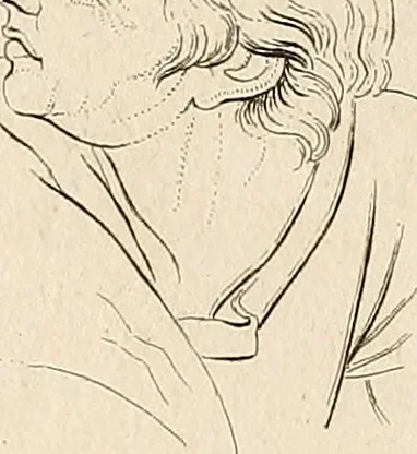 An illustration from L'art de connaitre les hommes par la physionomie, 1806, leaf 315