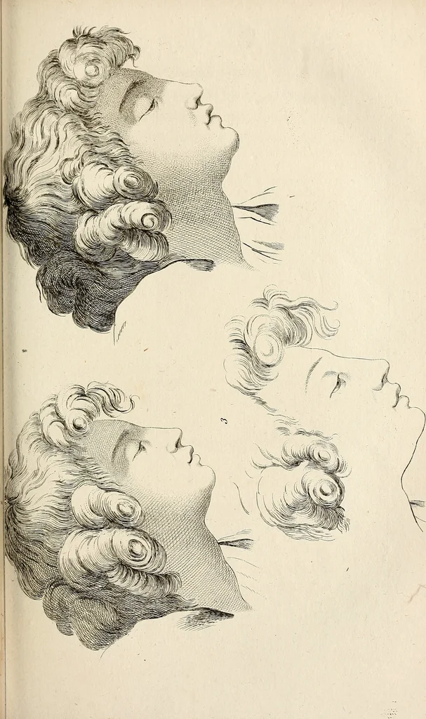 An illustration from L'art de connaitre les hommes par la physionomie, 1806, leaf 334