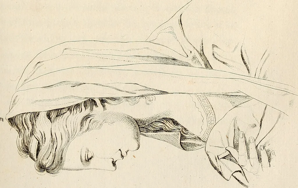 An illustration from L'art de connaitre les hommes par la physionomie, 1806, leaf 344