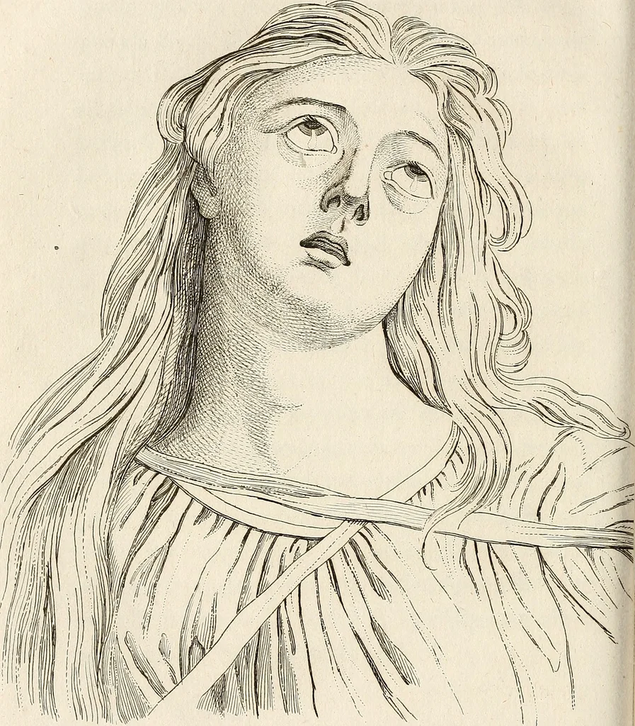An illustration from L'art de connaitre les hommes par la physionomie, 1806, leaf 349