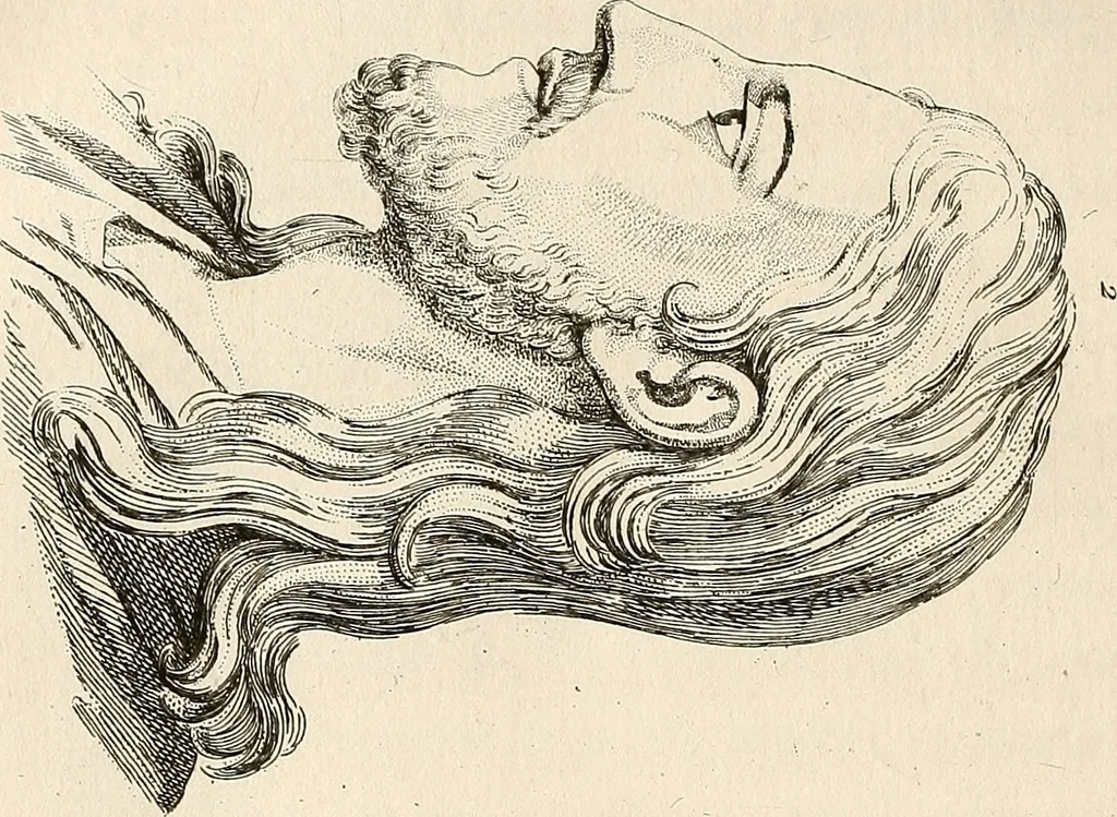 An illustration from L'art de connaitre les hommes par la physionomie, 1806, leaf 373