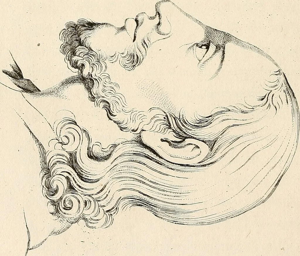 An illustration from L'art de connaitre les hommes par la physionomie, 1806, leaf 373