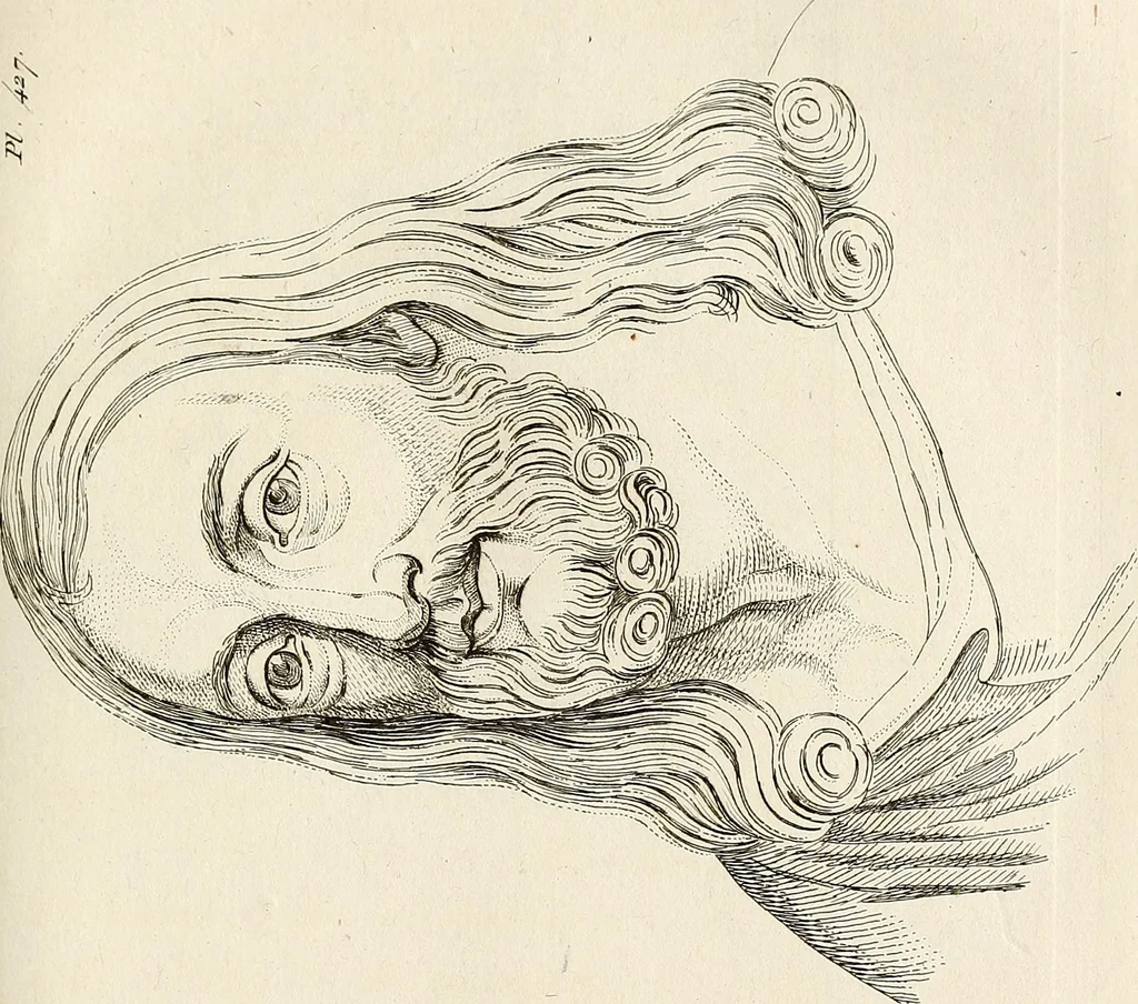 An illustration from L'art de connaitre les hommes par la physionomie, 1806, leaf 382