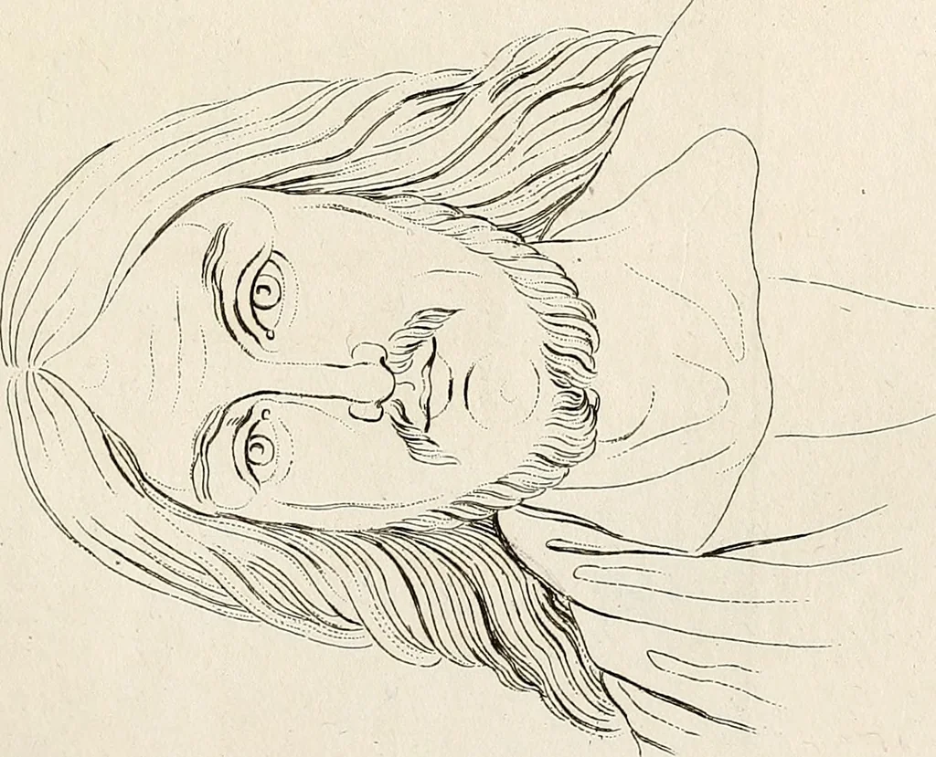 An illustration from L'art de connaitre les hommes par la physionomie, 1806, leaf 382
