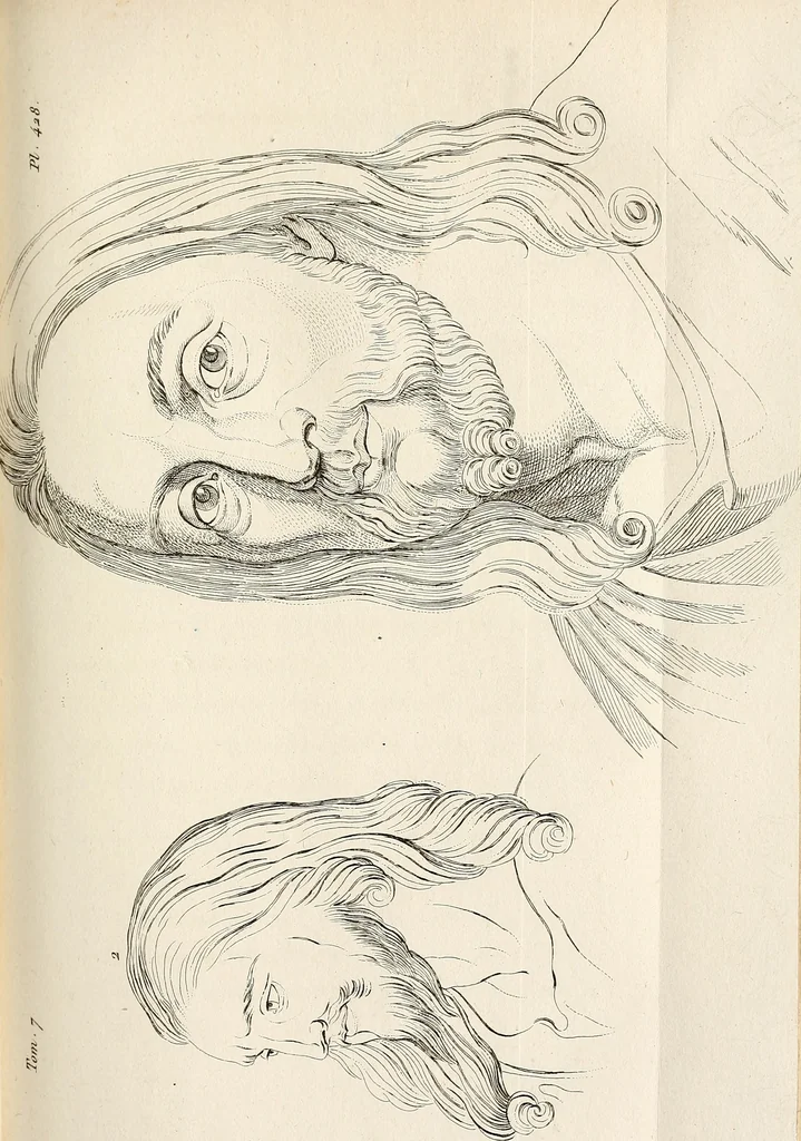 An illustration from L'art de connaitre les hommes par la physionomie, 1806, leaf 384