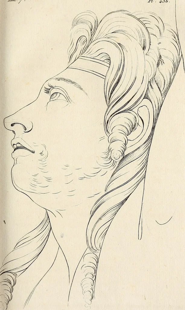 An illustration from L'art de connaitre les hommes par la physionomie, 1806, leaf 418
