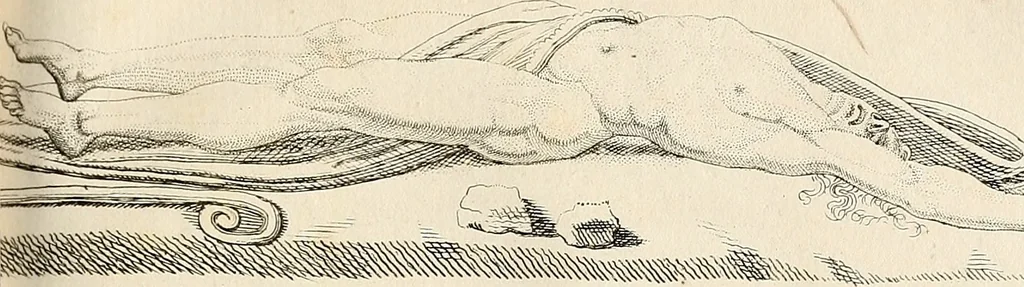 An illustration from L'art de connaitre les hommes par la physionomie, 1806, leaf 460