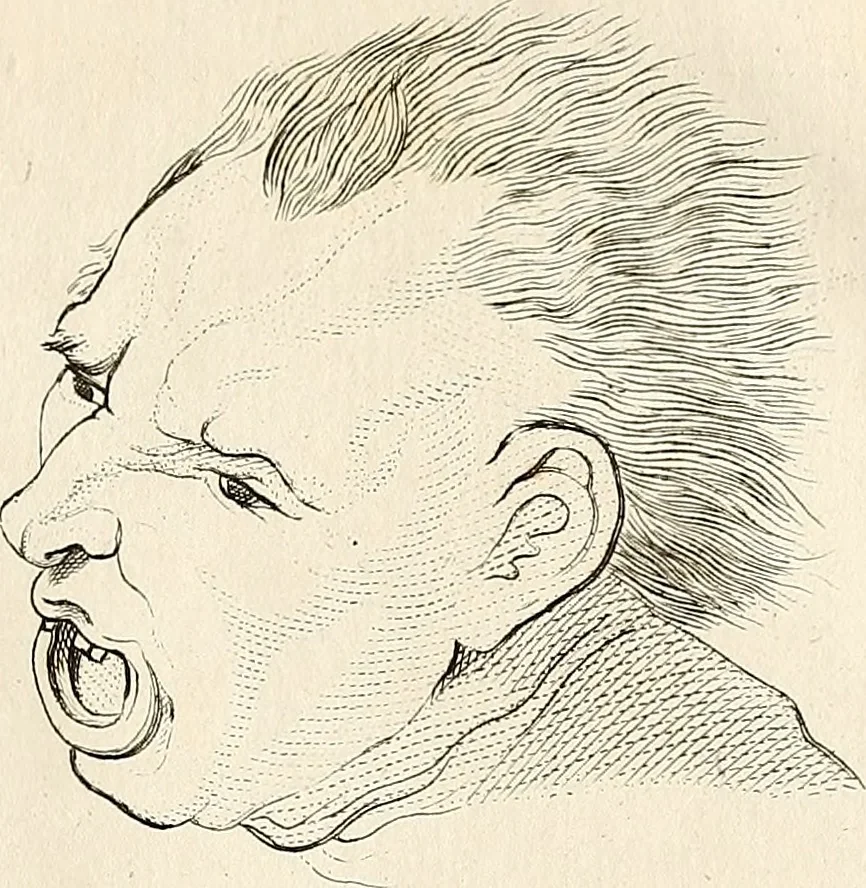 An illustration from L'art de connaitre les hommes par la physionomie, 1806, leaf 472