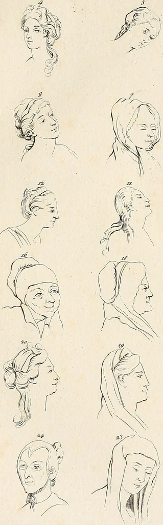 An illustration from L'art de connaitre les hommes par la physionomie, 1806, leaf 73