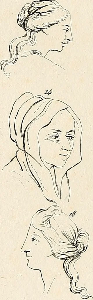 An illustration from L'art de connaitre les hommes par la physionomie, 1806, leaf 73