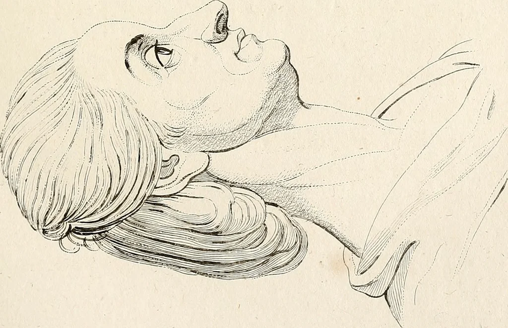 An illustration from L'art de connaitre les hommes par la physionomie, 1806, leaf 96