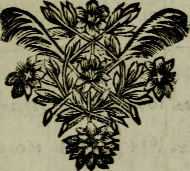 An illustration from L'art de fortifier, de defendre, et d'attaquer les places : suivant les methodes françoises, hollandoises, italiennes & espagnoles, le tout enrichy de figures en taille douce, 1677, leaf 210