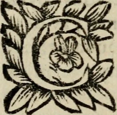 An illustration from L'art de fortifier, de defendre, et d'attaquer les places : suivant les methodes françoises, hollandoises, italiennes & espagnoles, le tout enrichy de figures en taille douce, 1677, leaf 353