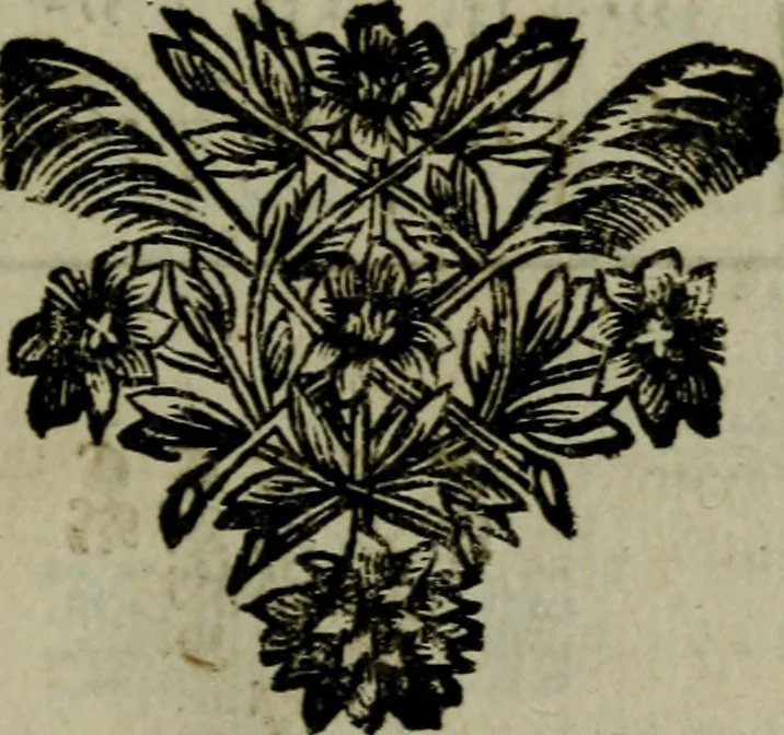 An illustration from L'art de fortifier, de defendre, et d'attaquer les places : suivant les methodes françoises, hollandoises, italiennes & espagnoles, le tout enrichy de figures en taille douce, 1677, leaf 420