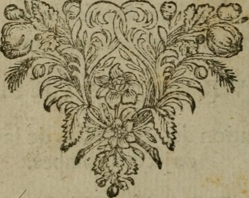An illustration from L'art de jetter les bombes, 1685, leaf 577