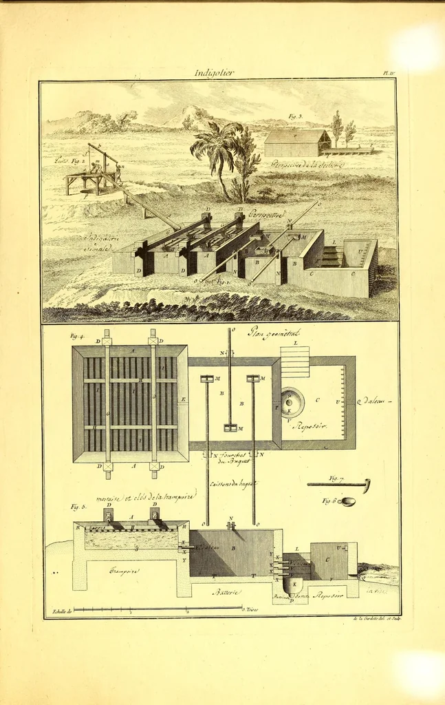 An illustration from L'art de l'indigotier, 1770, leaf 129