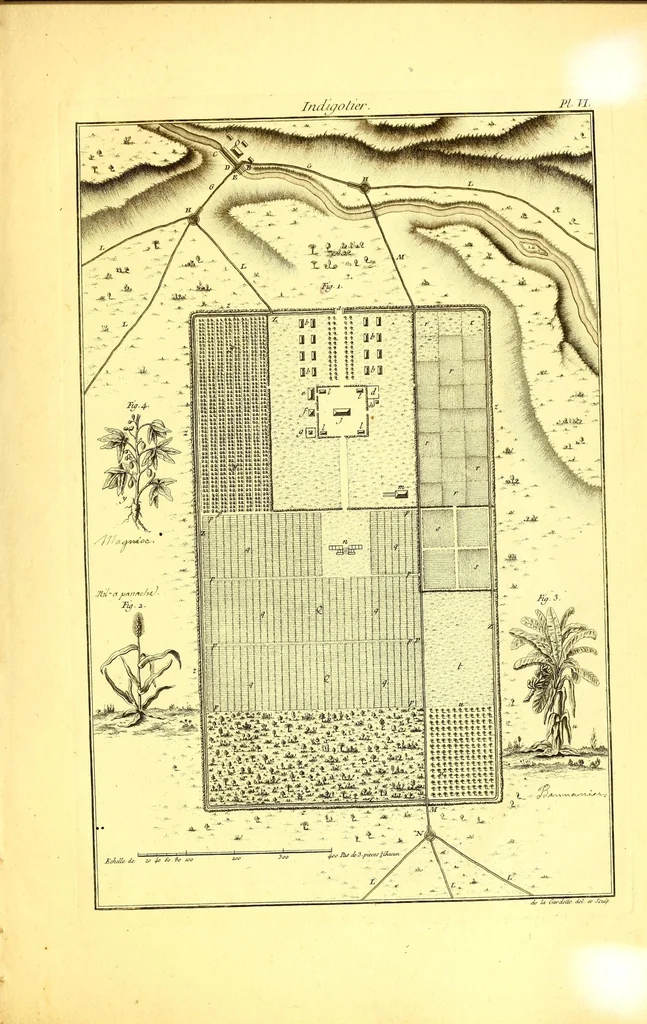 An illustration from L'art de l'indigotier, 1770, leaf 133