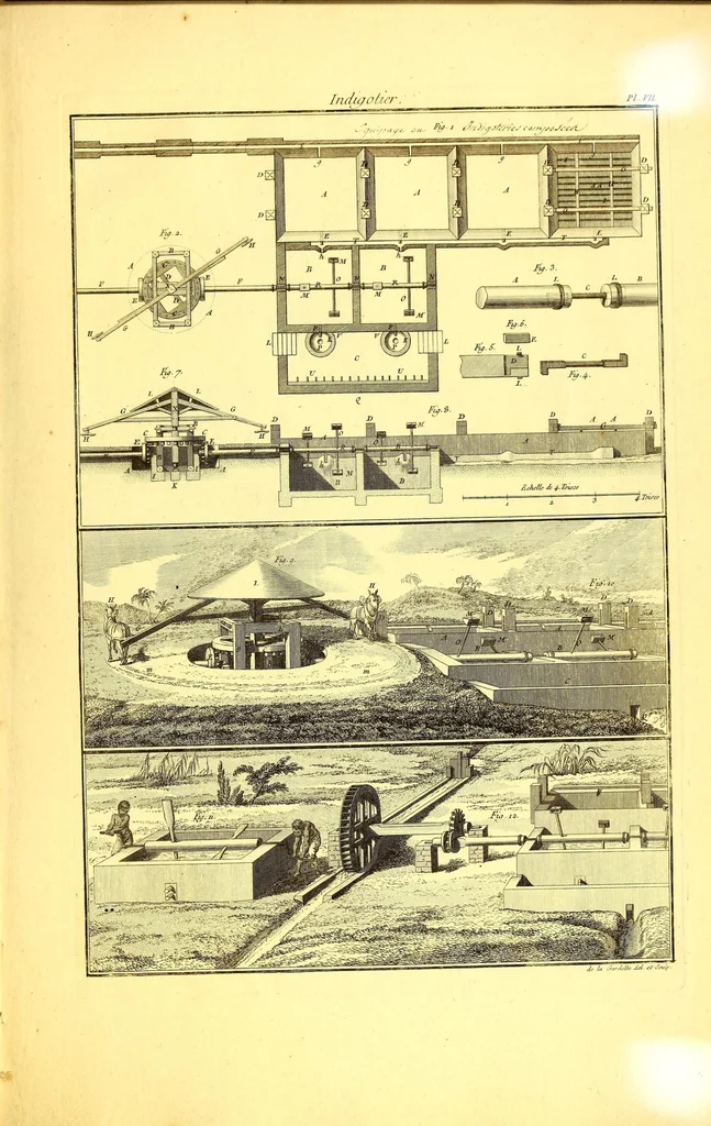 An illustration from L'art de l'indigotier, 1770, leaf 135