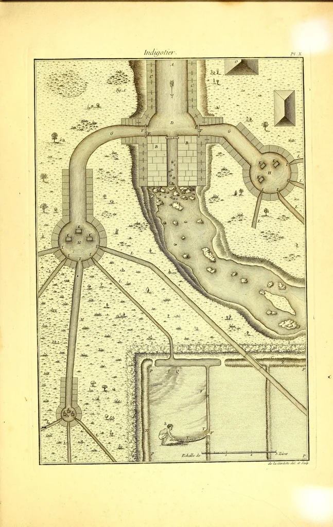 An illustration from L'art de l'indigotier, 1770, leaf 141