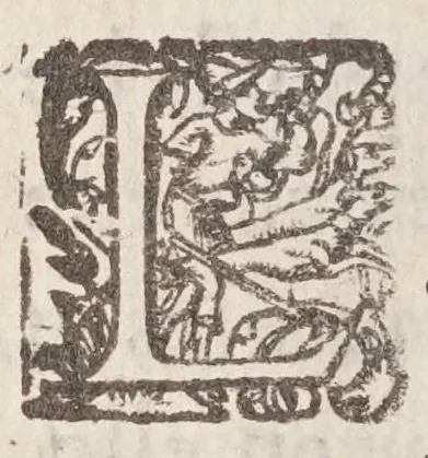 An illustration from L'art d'embellir tiré du sens de ce sacré paradoxe : la sagesse de la personne, embellit sa face : estendu en toutte sorre de beauté, & és moyens de faire que le corps retire en effect son embellissement des belles qualitez de l'ame, 1608, leaf 22