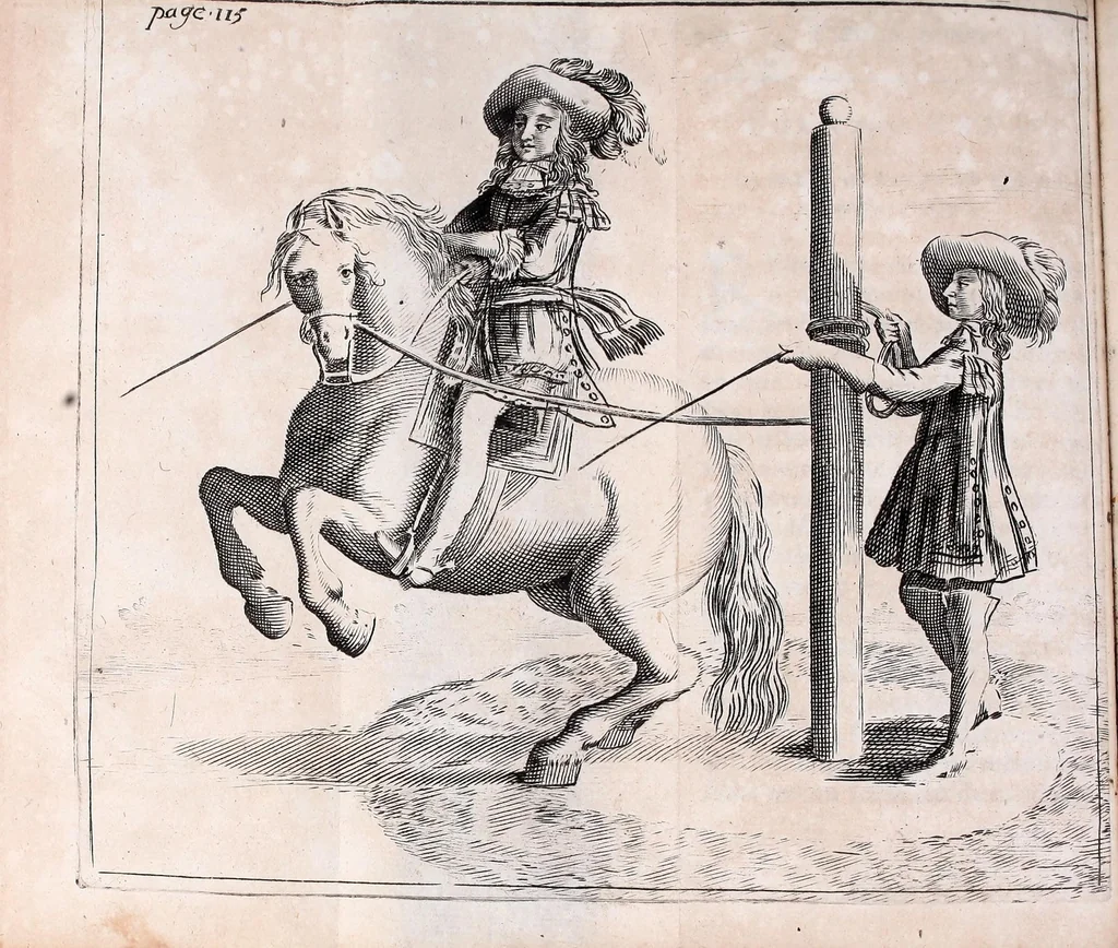 An illustration from L'art de monter à cheval : pour elever la noblesse dans les plus beaux airs du manege : enseignée & pratiquée par les illustres & fameux ecuyers de France, tant pour les voltes, caprioles, courbettes, passades, sauts de terre à terre, courses de bagues; que pour tout ce que le cavalier doit sçavoir pour se rendre habile homme de cheval : avec les figures necessaires & les remedes pour guerir les maladies des chevaux, 1691, leaf 126