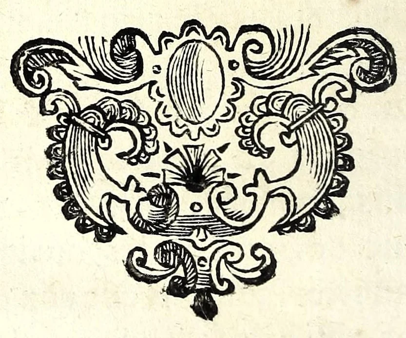 An illustration from L'art de monter à cheval : pour elever la noblesse dans les plus beaux airs du manege : enseignée & pratiquée par les illustres & fameux ecuyers de France, tant pour les voltes, caprioles, courbettes, passades, sauts de terre à terre, courses de bagues; que pour tout ce que le cavalier doit sçavoir pour se rendre habile homme de cheval : avec les figures necessaires & les remedes pour guerir les maladies des chevaux, 1691, leaf 224