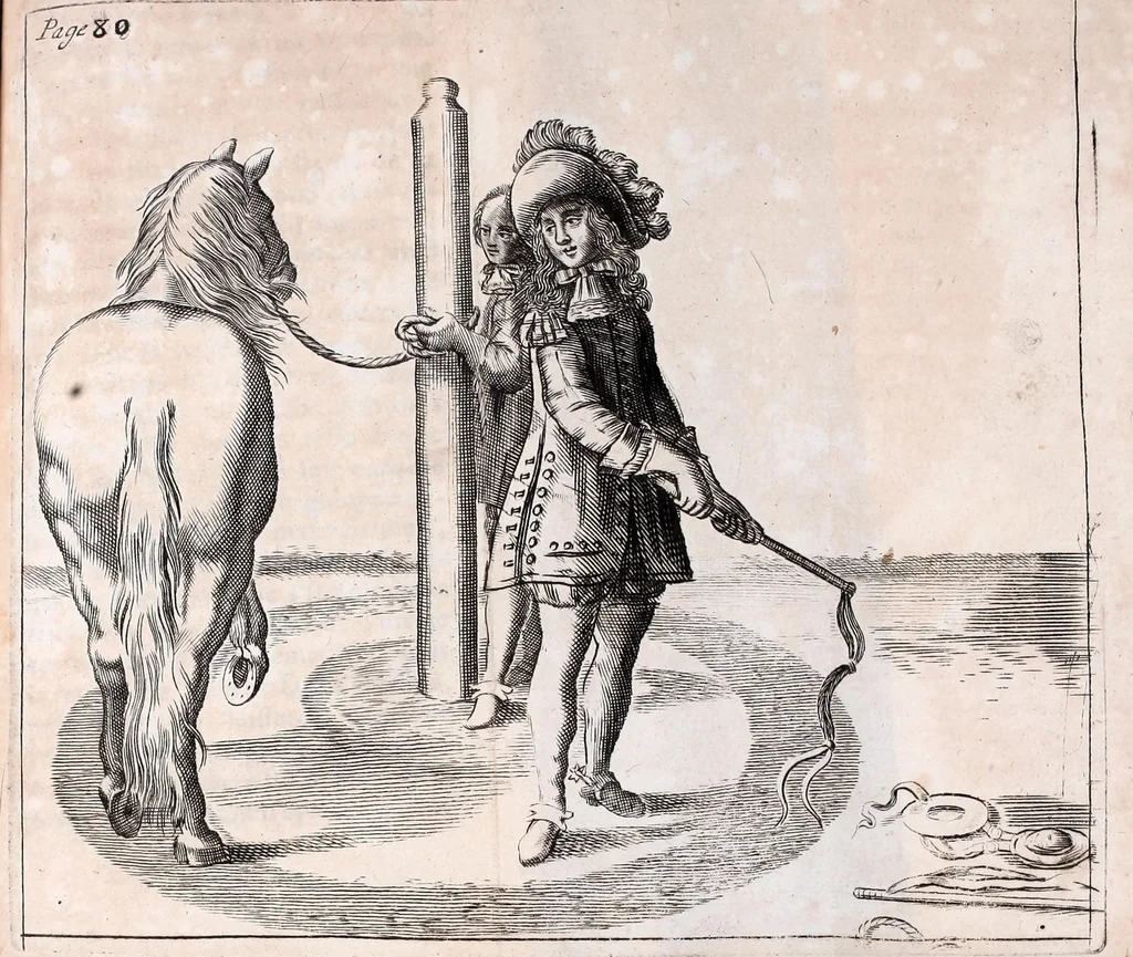 An illustration from L'art de monter à cheval : pour elever la noblesse dans les plus beaux airs du manege : enseignée & pratiquée par les illustres & fameux ecuyers de France, tant pour les voltes, caprioles, courbettes, passades, sauts de terre à terre, courses de bagues; que pour tout ce que le cavalier doit sçavoir pour se rendre habile homme de cheval : avec les figures necessaires & les remedes pour guerir les maladies des chevaux, 1691, leaf 89