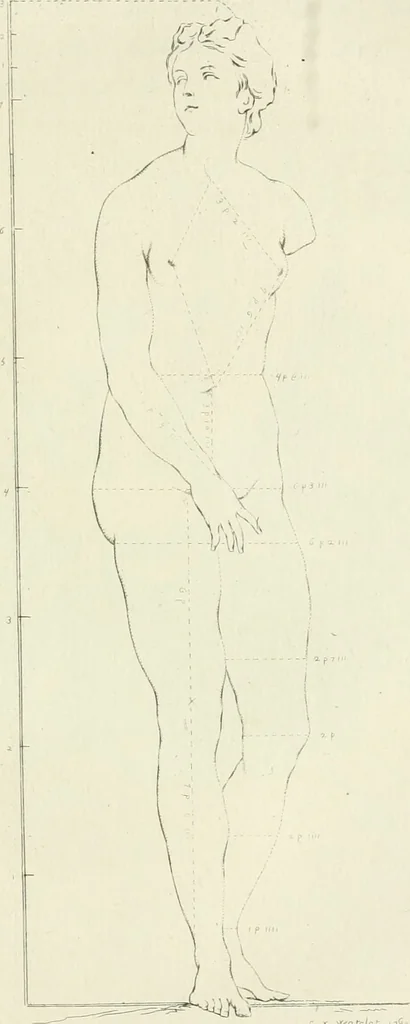 An illustration from L'art de peindre : poëme : avec des réflexions sur les différentes parties de la peinture, 1760, leaf 104