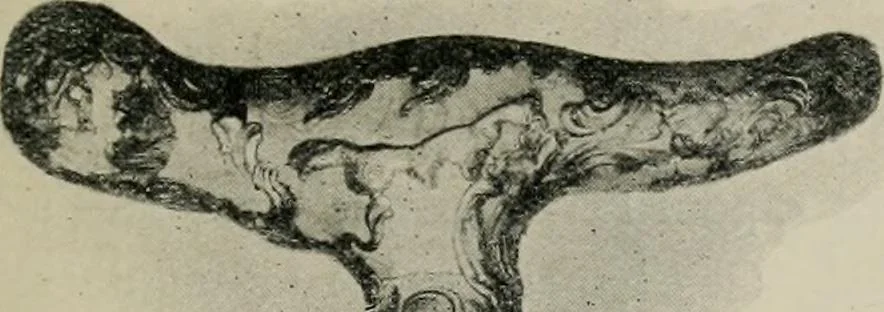 An illustration from L'art de reconnaître les styles : les styles régence et Louis XV, 1912, leaf 248