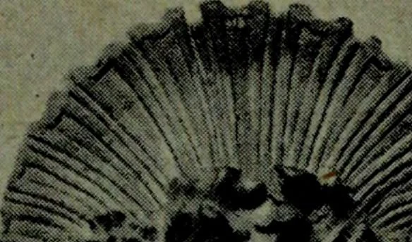 An illustration from L'art de reconnaître les styles, le style Louis XIV, 1900, leaf 18