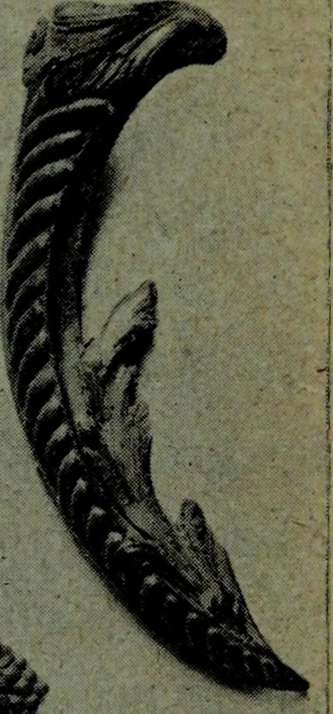 An illustration from L'art de reconnaître les styles, le style Louis XIV, 1900, leaf 18