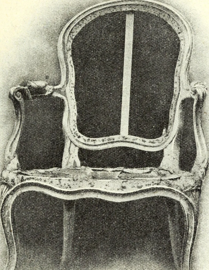 An illustration from L'art de reconnaître les styles: les styles régence et Louis XV;, 1912, leaf 246