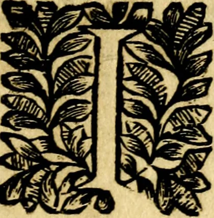 An illustration from L'art des emblemes;, 1662, leaf 134