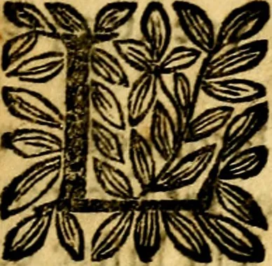 An illustration from L'art des emblemes;, 1662, leaf 138