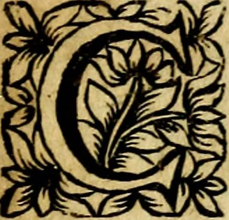 An illustration from L'art des emblemes;, 1662, leaf 196