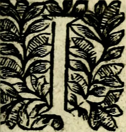 An illustration from L'art des emblemes;, 1662, leaf 140